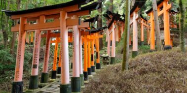 Japó Octubre
