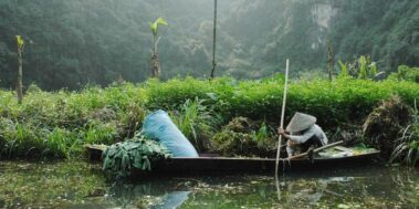 Vietnam i Cambodja Novembre