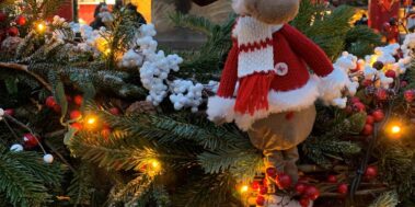 Nadal Colmar Novembre