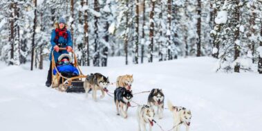 Aurores Boreals Tromsø Noruega Febrer