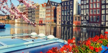 Holanda i Keukenhof Abril 6 Holanda i Keukenhof Abril