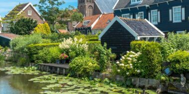 Holanda i Keukenhof Abril 8 Holanda i Keukenhof Abril