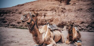 Marroc Març 16 Marroc Març