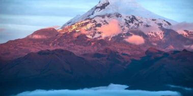 Equador i Galápagos agost 4 Equador i Galápagos agost