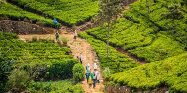 Sri Lanka Març 6 Sri Lanka Març