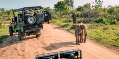 Sri Lanka Març 7 Sri Lanka Març