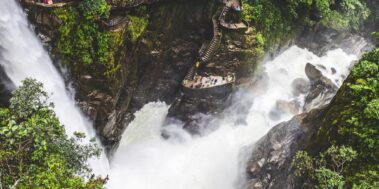 Equador i Galápagos agost 10 Equador i Galápagos agost