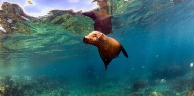 Equador i Galápagos agost 11 Equador i Galápagos agost