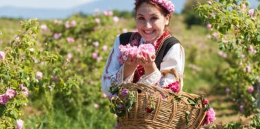 Bulgaria Festival de la Rosa Juliol 5 Bulgaria Festival de la Rosa Juliol