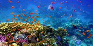 Jordània i Petra Març 11 Jordània i Petra Març