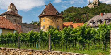 Creuer fluvial pel Danubi Juliol 7 Creuer fluvial pel Danubi Juliol