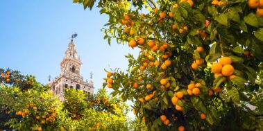 Andalusia Març 17 Andalusia Març