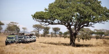 Tanzània Maig 6 Tanzània Maig