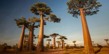 Tanzània Maig 7 Tanzània Maig