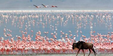 Tanzània Maig 9 Tanzània Maig