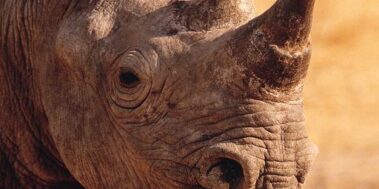 Tanzània Maig 16 Tanzània Maig