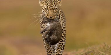 Tanzània Maig 17 Tanzània Maig