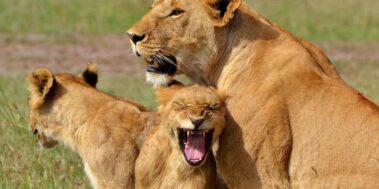 Tanzània Maig 19 Tanzània Maig