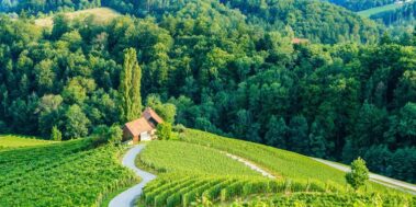 Eslovènia Juliol 8 Eslovènia Juliol