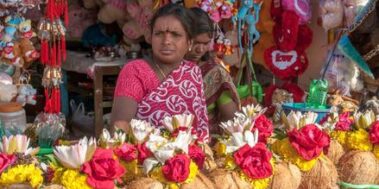 Índia del Sud Octubre 8 Índia del Sud Octubre