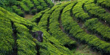 Índia del Sud Octubre 9 Índia del Sud Octubre