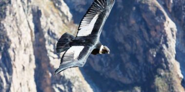 Perú Octubre 7 Perú Octubre