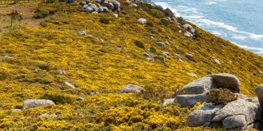 Galícia Octubre 6 Galícia Octubre