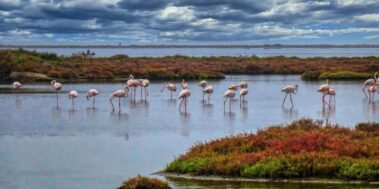 Senegal Desembre 7 Senegal Desembre