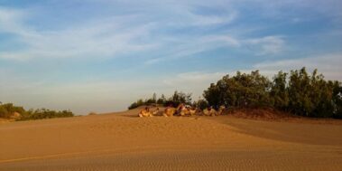 Senegal Desembre 9 Senegal Desembre