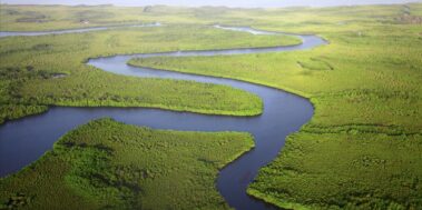 Senegal Desembre 12 Senegal Desembre