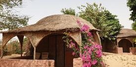 Senegal Desembre 25 Senegal Desembre