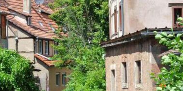 Alsàcia i Selva Negra Juny