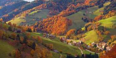 Alsàcia i La Selva Negra Setembre