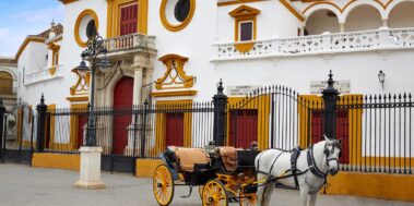 Sevilla i Pueblos Blancos tren AVE Octubre 6 Sevilla i Pueblos Blancos tren AVE Octubre